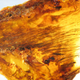 Illustration for article titled Dinosaur Feathers Discovered in Canadian Amber
